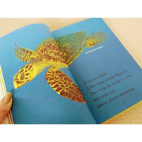 Simply Science (All Aboard Reading) HARDCOVER + Meet Little Engine PB -‎ Level 1 - Picture 6 of 15